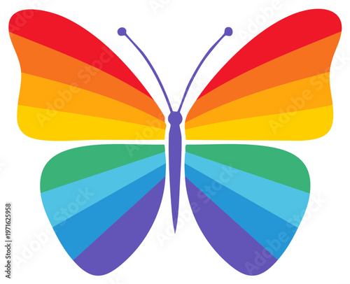 Rainbow butterfly with colorful wings and antennae graphic