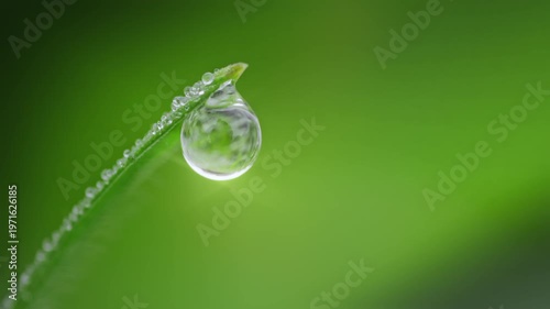 Macro Water Drops Green Leaf Rack Focus Slider. Nature Background Eco Wellness Web Design