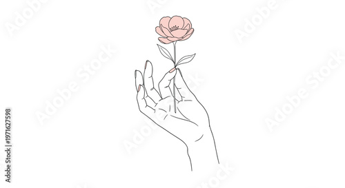 Delicate hand drawn line art of a human hand holding a single pink flower against a clean white background for a minimal look.