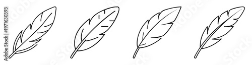 Four elegant and simple line drawing illustration of feathers in a row