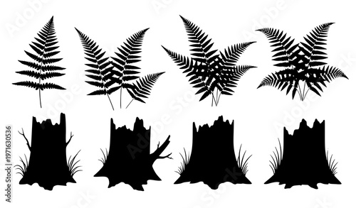 Ferns and rotten stumps silhouette collection vector