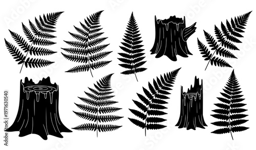 Forest fern and rotten stump silhouette vector illustration
