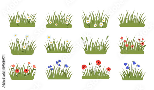 Flower meadow grassland flat vector set on white
