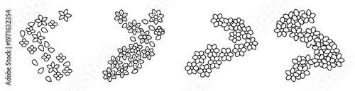 Floral pattern illustration showcasing four distinct arrangements of flower and petal motifs