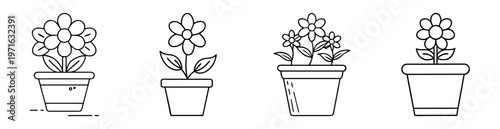 Black and white outline drawing of flowers in pots on white background