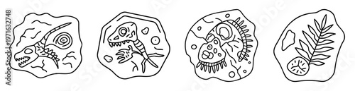 Collection of Paleontology themed monochrome dinosaur fossils and plant fossils illustrations