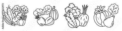 Line art drawing showcasing a diverse selection of fresh vegetables in groups