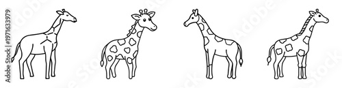 Four outlined giraffe illustrations in a row, two with spots and two without