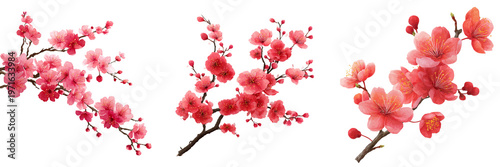 Set of Cherry blossom twig with buds on transparent png background. Ai generated