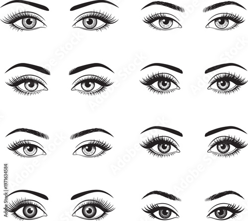Set of woman's open eyes with different lash and brow styles vector illustration