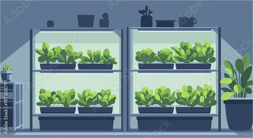 Modern indoor vertical farming setup with multiple shelves of lush green plants growing under artificial light in a controlled environment.