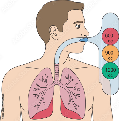 Human respiratory system vector, educational medical anatomy diagram, incentive spirometer illustration, health science education design