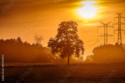 Malowniczy zachód słońca nad polami z samotnym drzewem i słupami wysokiego napięcia. Mglisty krajobraz w odcieniach złota i pomarańczu, łączący naturę z infrastrukturą energetyczną.