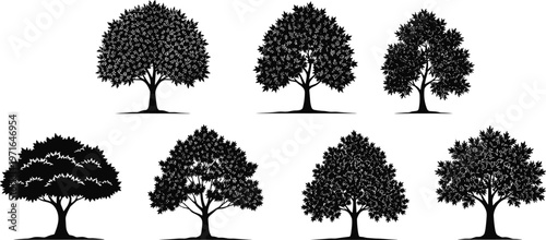 Black tree silhouette illustrations, diverse canopy shapes, artistic nature design, botanical sketch, landscape elements, environmental art, decorative foliage, natural outline drawing