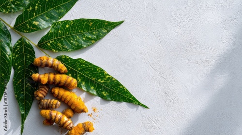 Organic turmeric root with variegated green leaves on textured white background natural spice layout for design card poster background