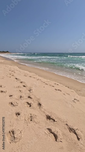 Vertical panoramic view from the shore towards a beautiful wild beach, with golden sand, turquoise water and blue sky, in Bolonia Beach, Cadiz, Andalusia, Spain