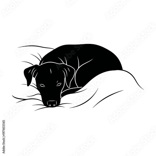 Serene Canine's Slumber: A silhouette of a resting dog, deeply immersed in slumber, rests on a soft surface, embodies tranquility and peacefulness.