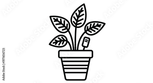 Minimalist line art illustration of a healthy houseplant in a decorative striped pot with a small name tag for botanical identification.