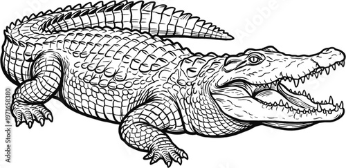 crocodile in the zoo