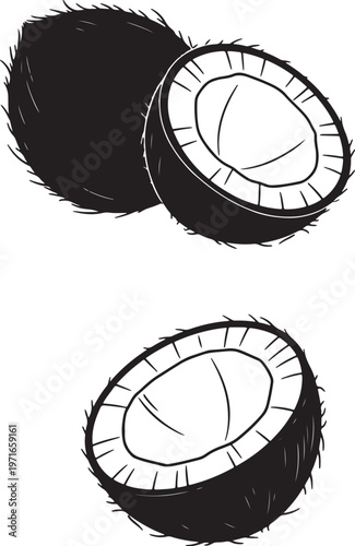 Black and white line of a whole coconut and two halves of a coconut also transparent background coconut half