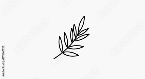 Simple Line Art Illustration of Olive Tree Branch with Leaves on Isolated White Background