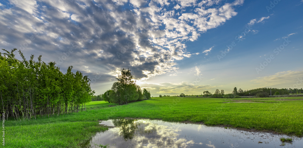 Fototapeta premium Serene meadow reflects sky's soft glow