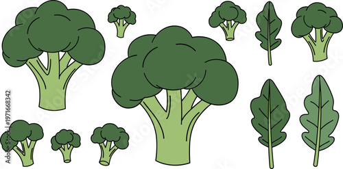 Cartoon broccoli and leafy greens illustrations on white background