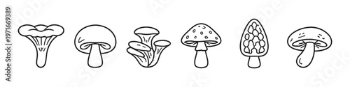 Collection of hand-drawn mushroom icons in a simple black and white outline style