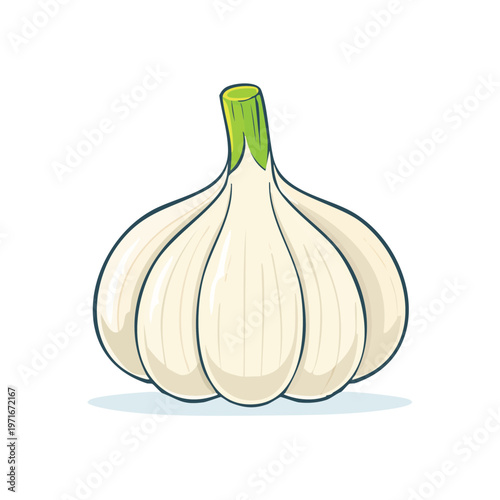 Single Whole Garlic Bulb with Green Stem Isolated on White Background Healthy Food Ingredient