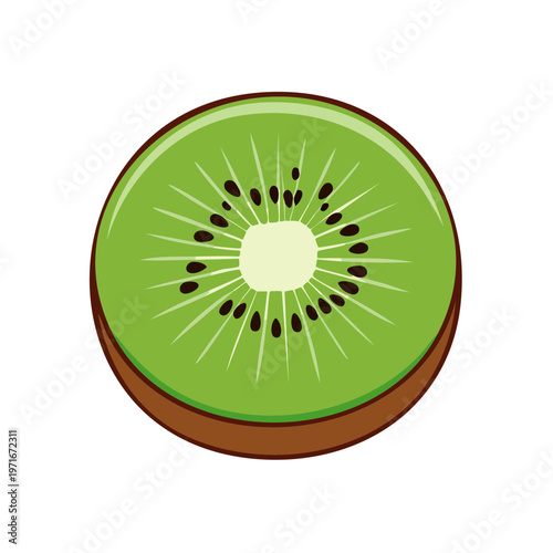 Fresh slice of ripe kiwi fruit with green flesh and black seeds shown from above