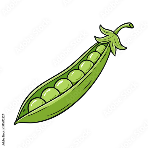 Open green pea pod with plump round peas inside and a leafy stem above