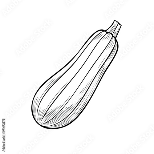 Line Art Zucchini Vegetable Illustration
