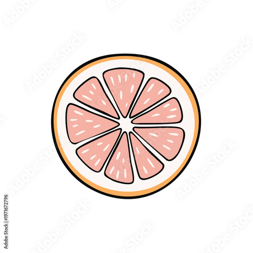 Graphic illustration of a halved pink grapefruit with segments and rind in a clean cartoon style