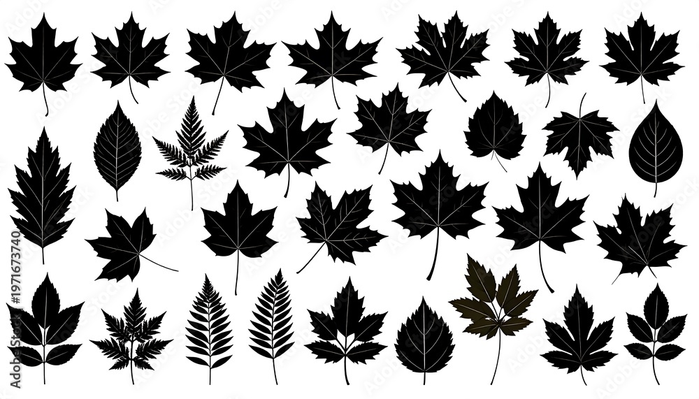 Fototapeta premium Collection of Various Black Leaf Silhouettes on White Background.