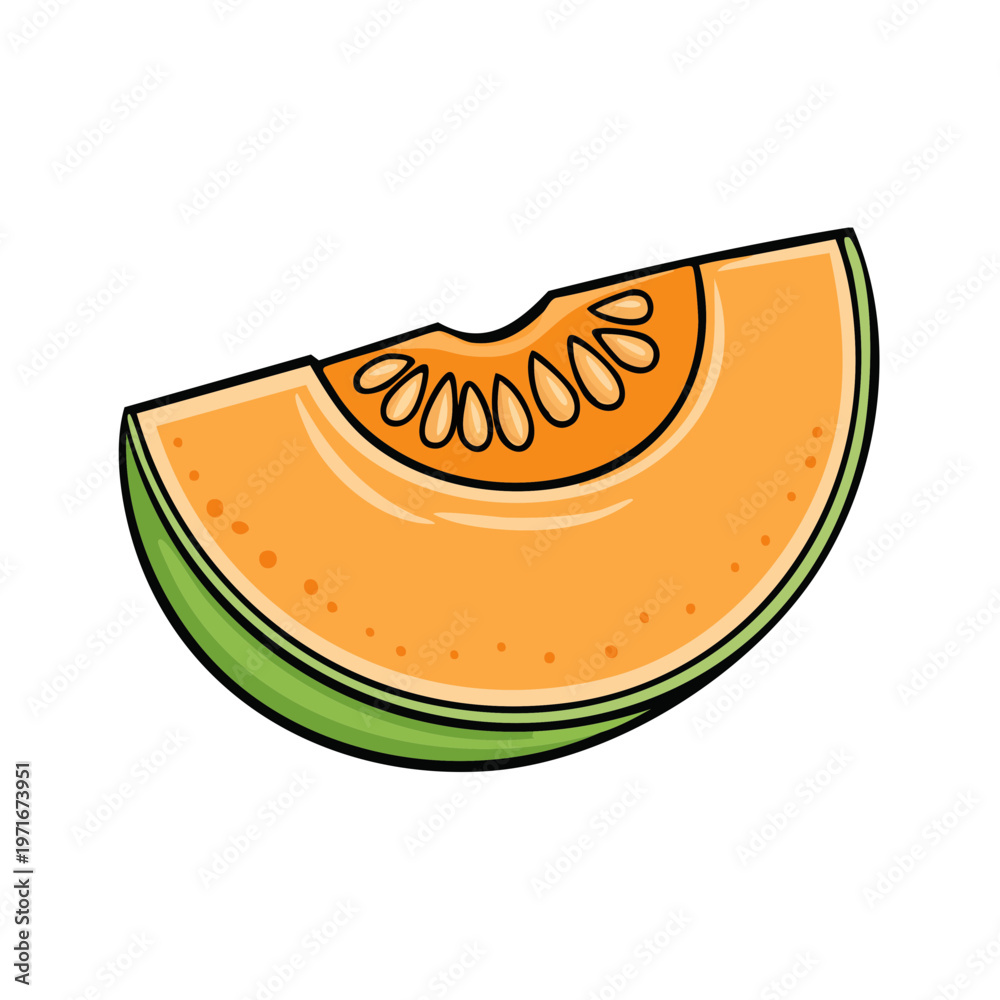 Obraz premium Fresh Cantaloupe Slice with Seeds and Green Rind Illustration