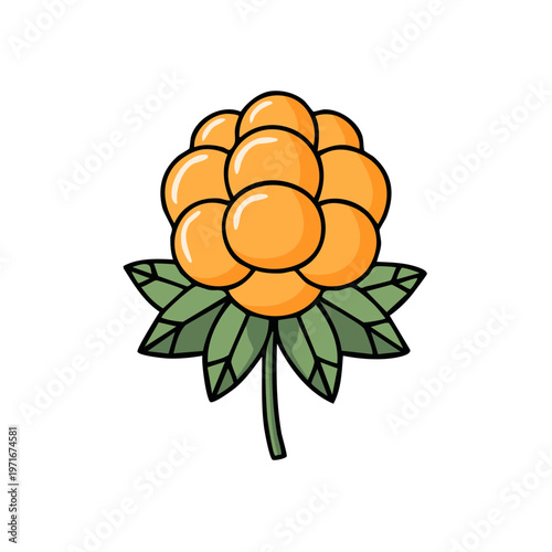 Hand-drawn illustration of a ripe orange cloudberry with green leaves on a white background