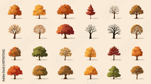 A charming illustration of two autumn trees with vibrant foliage. Perfect for seasonal designs, articles, or backgrounds evoking warmth and natural be
