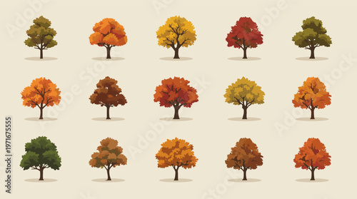 A simple illustration featuring two trees, one in full summer foliage and the other displaying autumn colors. Ideal for seasonal content, nature theme