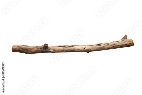 Dry wood branch with weathered bark and texture, useful for rustic design or natural elements, transparent background