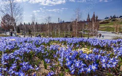 Spring flowers in the park near the Moscow Kremlin and picturesque view of the Kremlin featuring its iconic golden domes and towers against a vibrant sky, epitomising the historical and architectural 