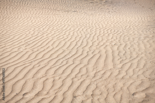 sand texture background. Sand ripples on the beach. Abstract background. Toned. Negative space