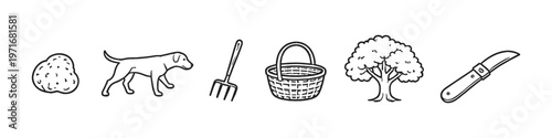 Truffle hunting with a dog, basket, rake, tree, and knife illustration
