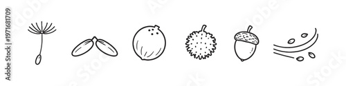 Collection of simple line drawings representing seeds and nuts in nature
