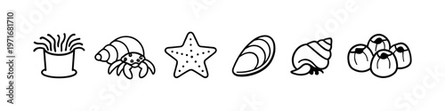 Collection of simple line art icons representing various marine life and shells