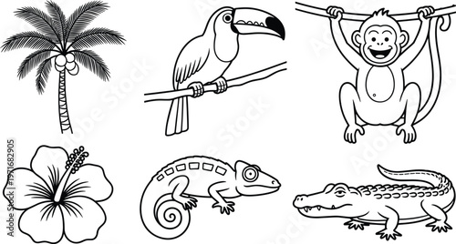 Tropical Jungle Elements Line Art Collection toucan