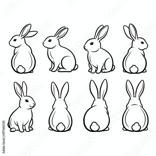 Charming collection of rabbits a black and white sketch compilation
