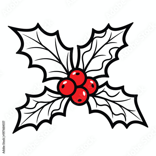 A vintage style illustration of a holly sprig with vibrant red berries and sharply defined dark green leaves