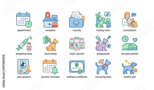 Veterinary icons: appointment, vaccination, consultation, recovery, pet health
