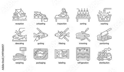 Illustration of fish processing stages: unloading to distribution
