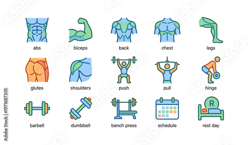 Fitness icons for workout routine: abs, biceps, chest, legs, shoulders, glutes